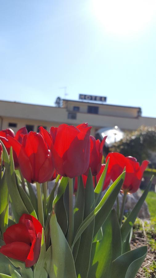 Hotel Vittoria Benevento Exterior photo